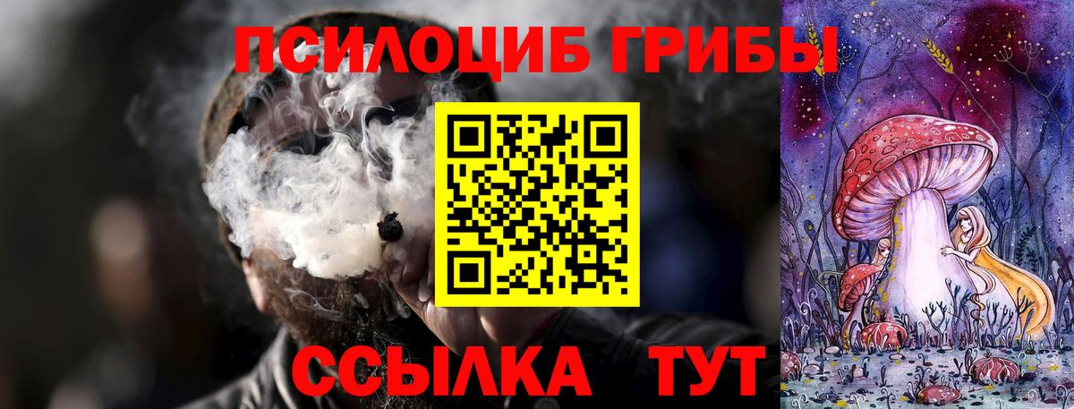 Галлюциногенные грибы Psilocybe  цены наркотик  Скопин  Вход с VPN 
